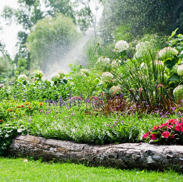 15 bästa idéer för trädgårdskantning - kreativ och billig trädgårdskant.